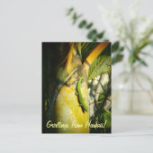 熱帯ゲッコハワイアン挨拶はがき ポストカード (スタンド正面)