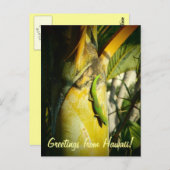 熱帯ゲッコハワイアン挨拶はがき ポストカード (正面/裏面)