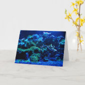 熱帯サンゴ礁 カード (黄色い花)