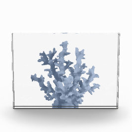 熱帯サンゴ フォトブロック