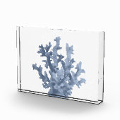 熱帯サンゴ フォトブロック (右)