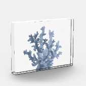 熱帯サンゴ フォトブロック (左)