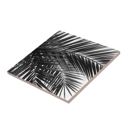 熱帯シュロの葉-白黒写真撮影 タイル (側面)