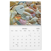 熱帯シーシェル写真カスタム用サイズカレンダー カレンダー (1月 2026)