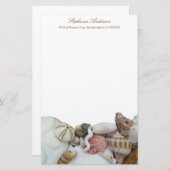 熱帯シーセル縁ど個人筆記用紙 便箋 (正面/裏面)