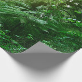 熱帯ジャングルに照らされた樹冠 ラッピングペーパー (角)