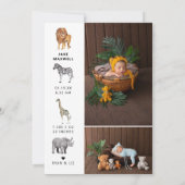 熱帯ジャングル |両面出産のお知らせ (裏面)