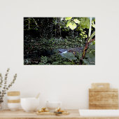 熱帯ストリーム ポスター (キッチン)