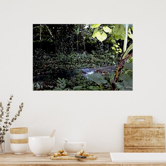 熱帯ストリーム ポスター (キッチン)