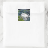 熱帯ストームデニス スクエアシール (バッグ)