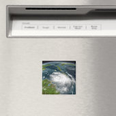 熱帯ストームデニス マグネット (インサイチュ (食洗機))