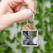 熱帯ストームブラスとシーリア キーホルダー (手)