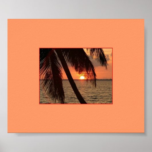 熱帯スプレンダー ポスター (正面)