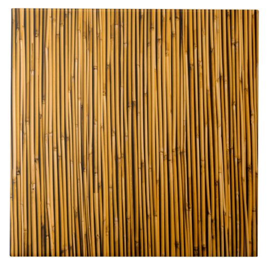 熱帯タケ背景の熱帯島のブランク タイル (正面)