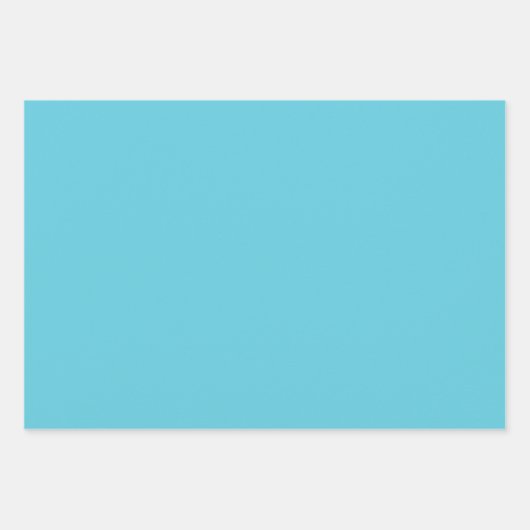 熱帯ターコイズカリブの海クルーズ写真 ラッピングペーパーシート (正面2)