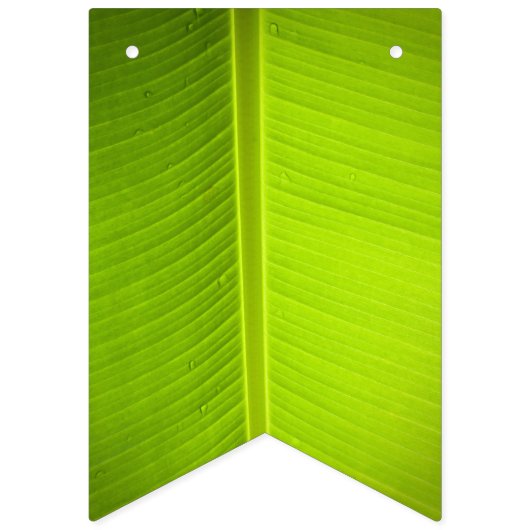 熱帯テーマ。バナナ葉の。 バンティングフラッグ (第1の旗)