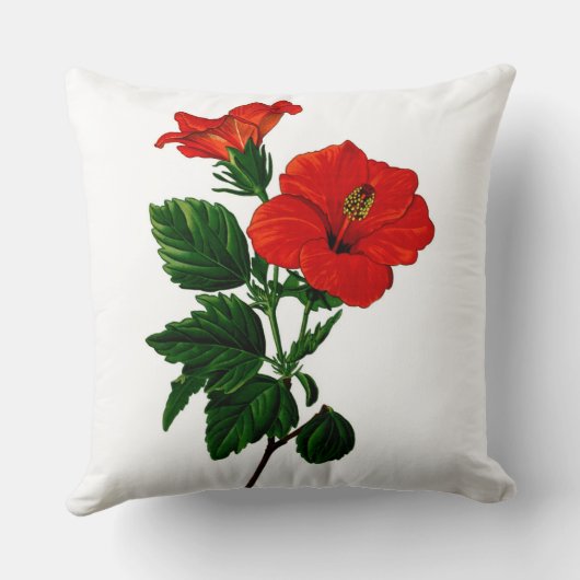 熱帯ハイビスカスによっては装飾の枕が家へ帰ります クッション (裏面)