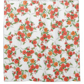 熱帯ハイビスカスの珊瑚によってはシャワー・カーテンが開花します シャワーカーテン (正面)