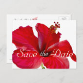 熱帯ハイビスカスの結婚式が日付を保存 案内ポストカード (正面/裏面)