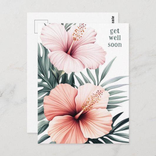 熱帯ハイビスカスの花々が早く咲く ポストカード (正面/裏面)