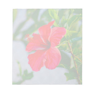 熱帯ハイビスカスの花柄 ノートパッド