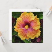 熱帯ハイビスカスの花 カード (正面/裏面インサイチュ)