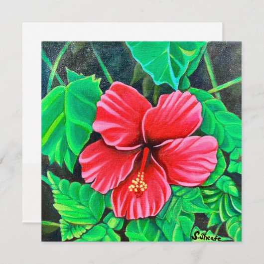 熱帯ハイビスカス (正面/裏面)