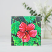 熱帯ハイビスカス (スタンド正面)