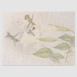 熱帯ハチドリの鳥の花柄のティッシュペーパー 薄葉紙