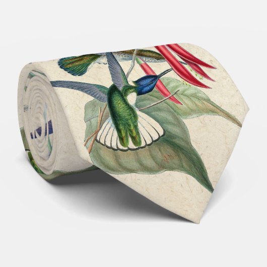 熱帯ハチドリの鳥の蘭の花のタイ ネクタイ (ロール)