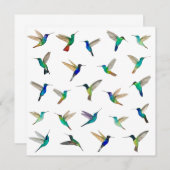 熱帯ハミングバーズカードすべての行事 (正面/裏面)