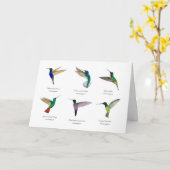 熱帯ハミングバーズカード カード (黄色い花)