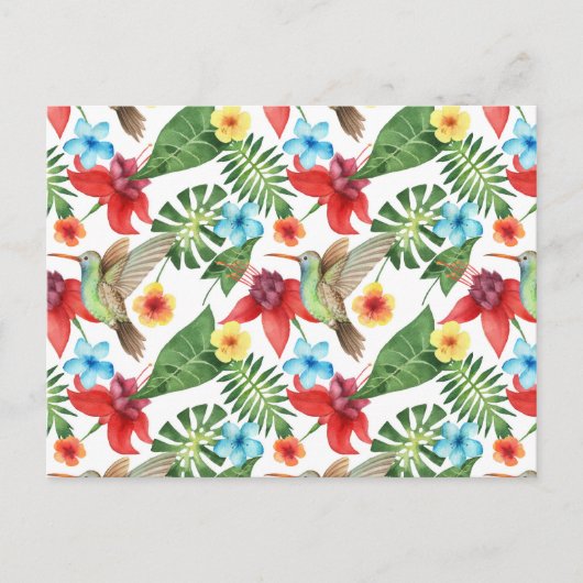 熱帯ハミングバード2 ポストカード (正面)