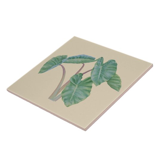 熱帯ハワイのタロイモの水彩画のセラミックタイル タイル (側面)