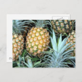 熱帯ハワイアンパイナップルの束 ポストカード (正面/裏面)