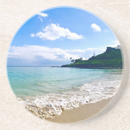 熱帯ハワイアンビーチ コースター (正面)