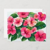 熱帯ハワイ産ピンクと白のハイビスカス ポストカード (正面/裏面)