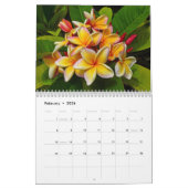 熱帯ハワイ カレンダー (2月 2026)