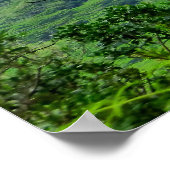 熱帯ハワイ ポスター (角)