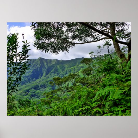 熱帯ハワイ ポスター (正面)