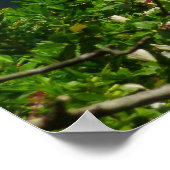 熱帯ハワイ ポスター (角)