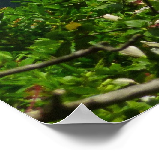 熱帯ハワイ ポスター (角)