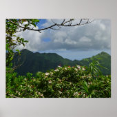熱帯ハワイ ポスター (正面)