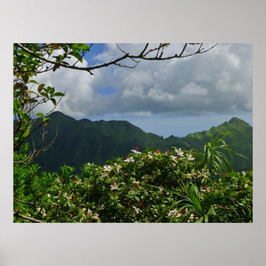 熱帯ハワイ ポスター (正面)