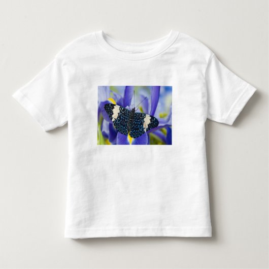 熱帯バタフライパープルアイリス トドラーTシャツ (正面)