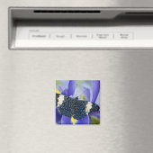 熱帯バタフライパープルアイリス マグネット (インサイチュ (食洗機))