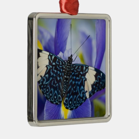 熱帯バタフライパープルアイリス メタルオーナメント (右)