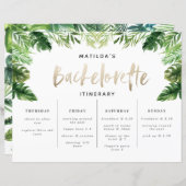 熱帯バチェロレッテの週末の日程 (正面/裏面)