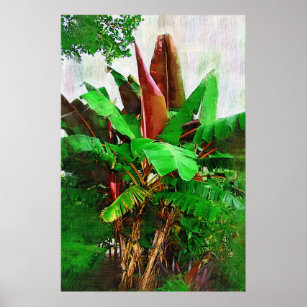 熱帯バナナの木の葉 – 庭を歩く ポスター