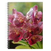 熱帯バンダの蘭の集り ノートブック (正面)